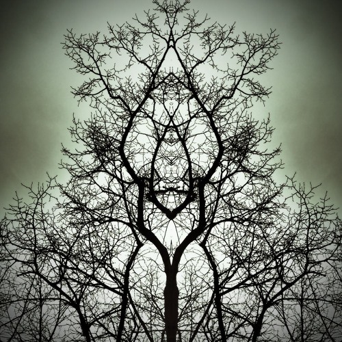 Bare Trees II
