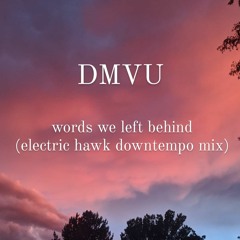 words we left behind (DMVU downtempo set for electric hawk)