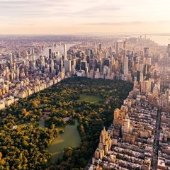 NY Trap