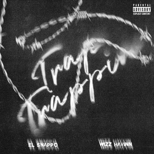 Trap Trappin (feat. Wizz Havinn)