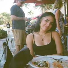 Fever Dreamz Vol. 13