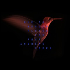 Fletch Fox feat. Andreas Ferra – Nur zu Besuch