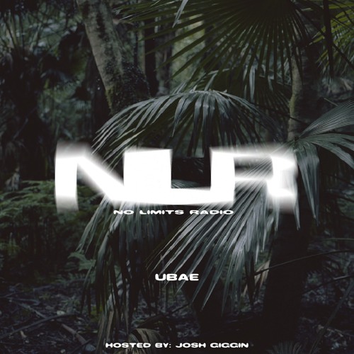 023- "UBAE" Guest Mix (Live from Hawaii)