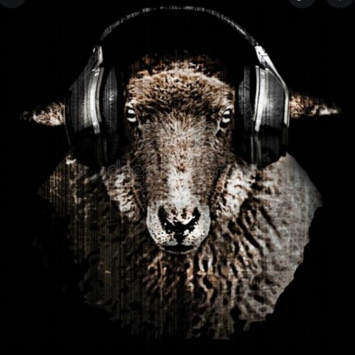 Gawney b2b Snugz Trance