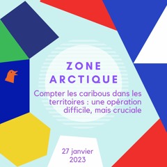 Zone Arctique - Inventaire aérien des caribous dans les territoires - 27 janvier 2023