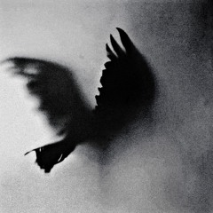 BIRD! (uh uh) feat. whotfisxee [ALL PLATS] [prod. geesyn X Aureola]