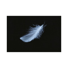 Birds of a Feather - Billie Eilish; Stripped Back Version by olliray