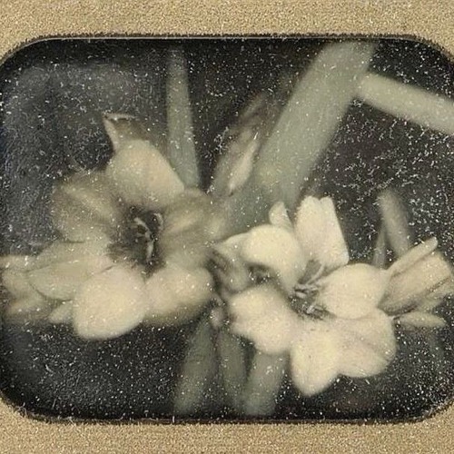 ♡ L'amore Dice Ciao . Slowed