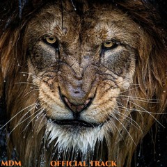 *MUFASA* Official Track Prod By - MDM4L