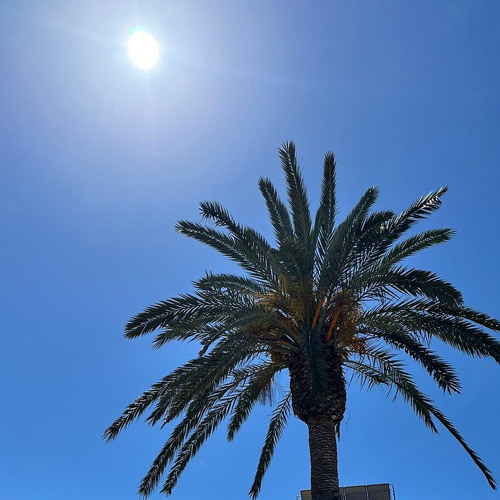 Dan Caplen - No letting go  (Tik Tok Version) Sped Up