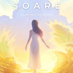 Neuro Digital - Soare