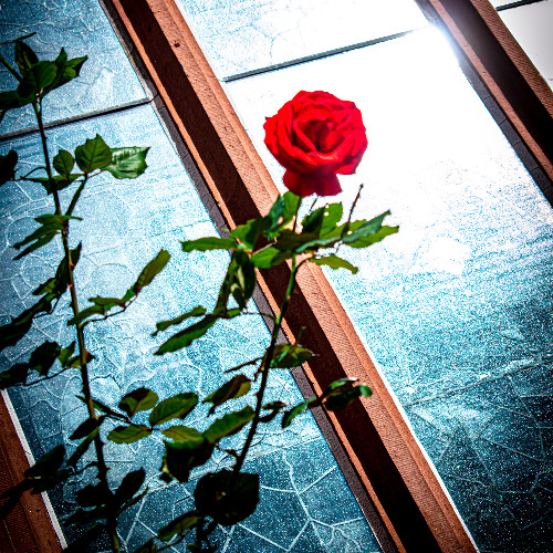 Psalm 91 - Security for Those That Trust in Our Father