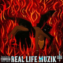 RLM Intro prod Mitchxy