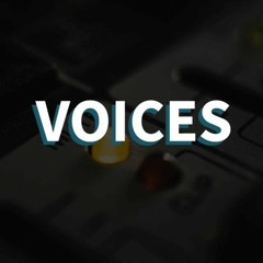 Voices: Rob #2