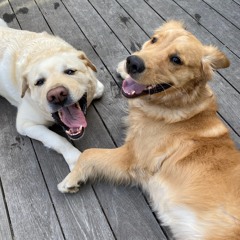 Burn The Sky Down - Demo