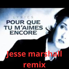celine dion pour que tu m'aimes encore "jesse marshall remix"