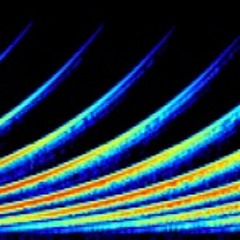 Taming The Shepard - Mvt. 2