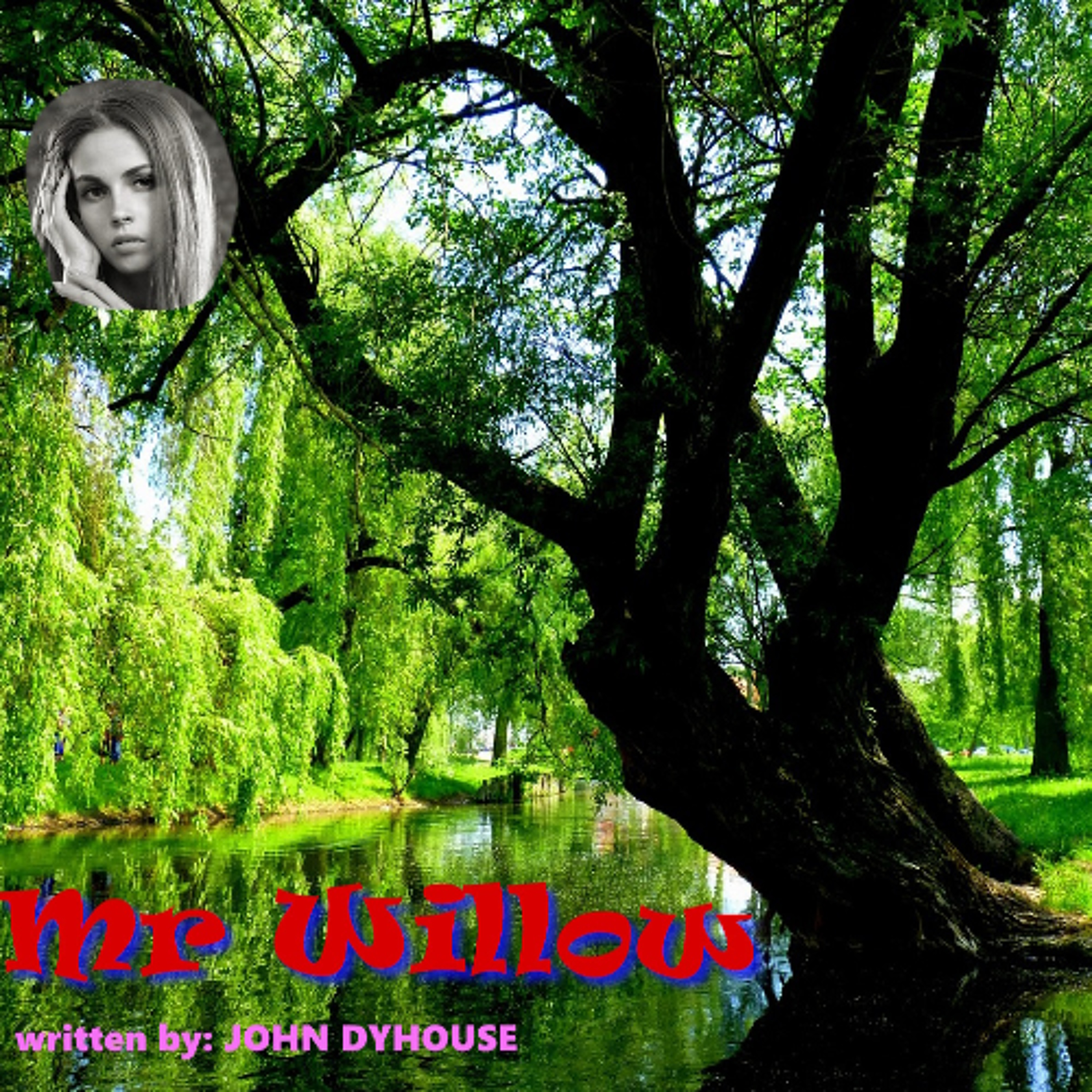 Mr Willow-4f-1