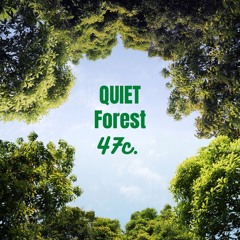 Quiet Forest 47c.