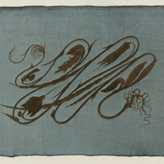 Echidna [Session 16.12.25 James] DEMO