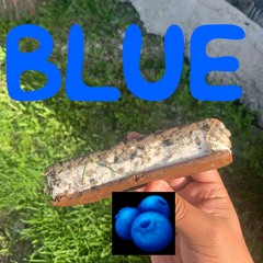 Blueberry Sundae