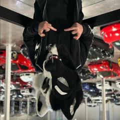 Furry Twerk Anthem Slowed - Black Krey