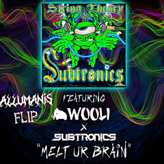 Subtronics x Wooli Melt your brain Flip.mp3