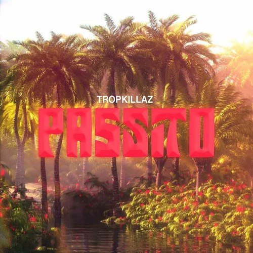 Tropkillaz - Passito (b o u t remix)