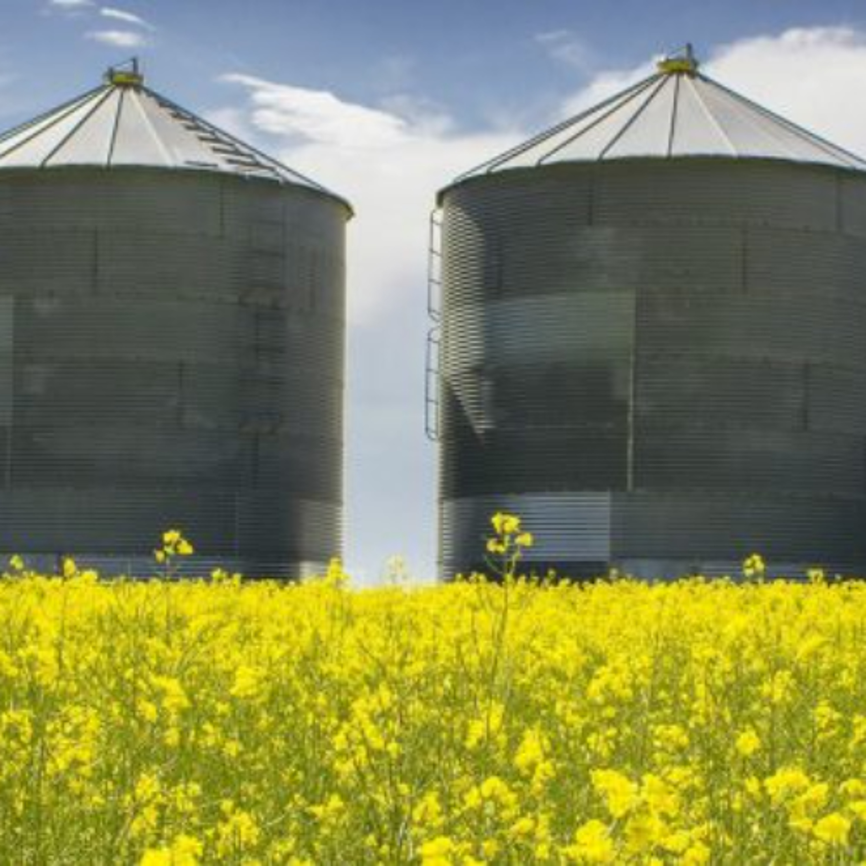 Economic Stability in the Ag Sector Could Be A Long Way Off episode artwork