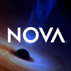 Turky - Nova