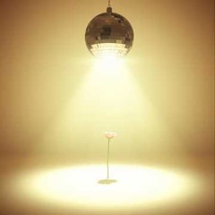 Little Light
