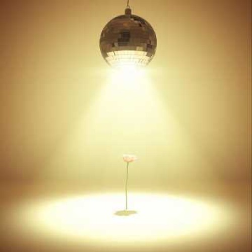 Little Light