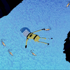 look at the sea brusse ver