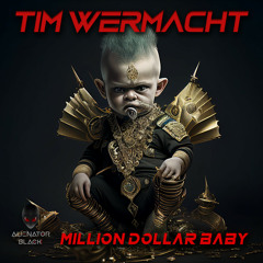 Tim Wermacht - Million Dollar Baby (Original Mix)