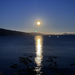 Sharp cutting wings (song to a poet)