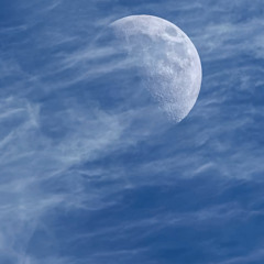 𝙷𝚄𝚂𝙷𝙷𝙷 ‏ッ