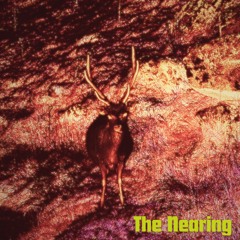The Nearing (an evolving album)