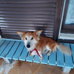 K-ride/日曜暇人(Prod.SNOW)