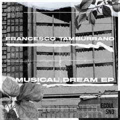 PREMIERE: Francesco Tamburrano - Producing Hit [ECOUL131]