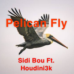 Pelican Fly - Sidi Bou Ft. Houdini3k