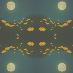 Whispers of the Moonlight