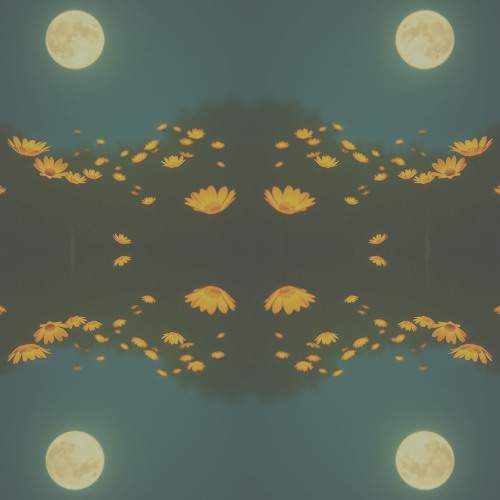 Whispers of the Moonlight