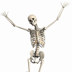 skeleton