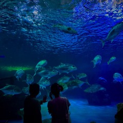 รักคุณเข้าอีกแล้ว - Boydpod Cover By JDI