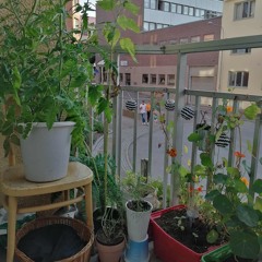 alrdead // prod. plug2dope + 555kenichi