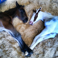 heaven is a place on earth! (chance's remix)