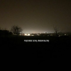 tommy bougainvillea - bro´s psychosis has an intro (skull emoji)