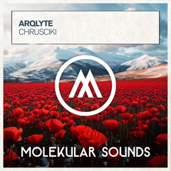 ARQLYTE - Chrusciki