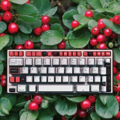 Nuphy Air75 keyboard - Cowberry Switches