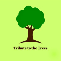 Tribute to the Trees (New Remix 2026)  & Video Link